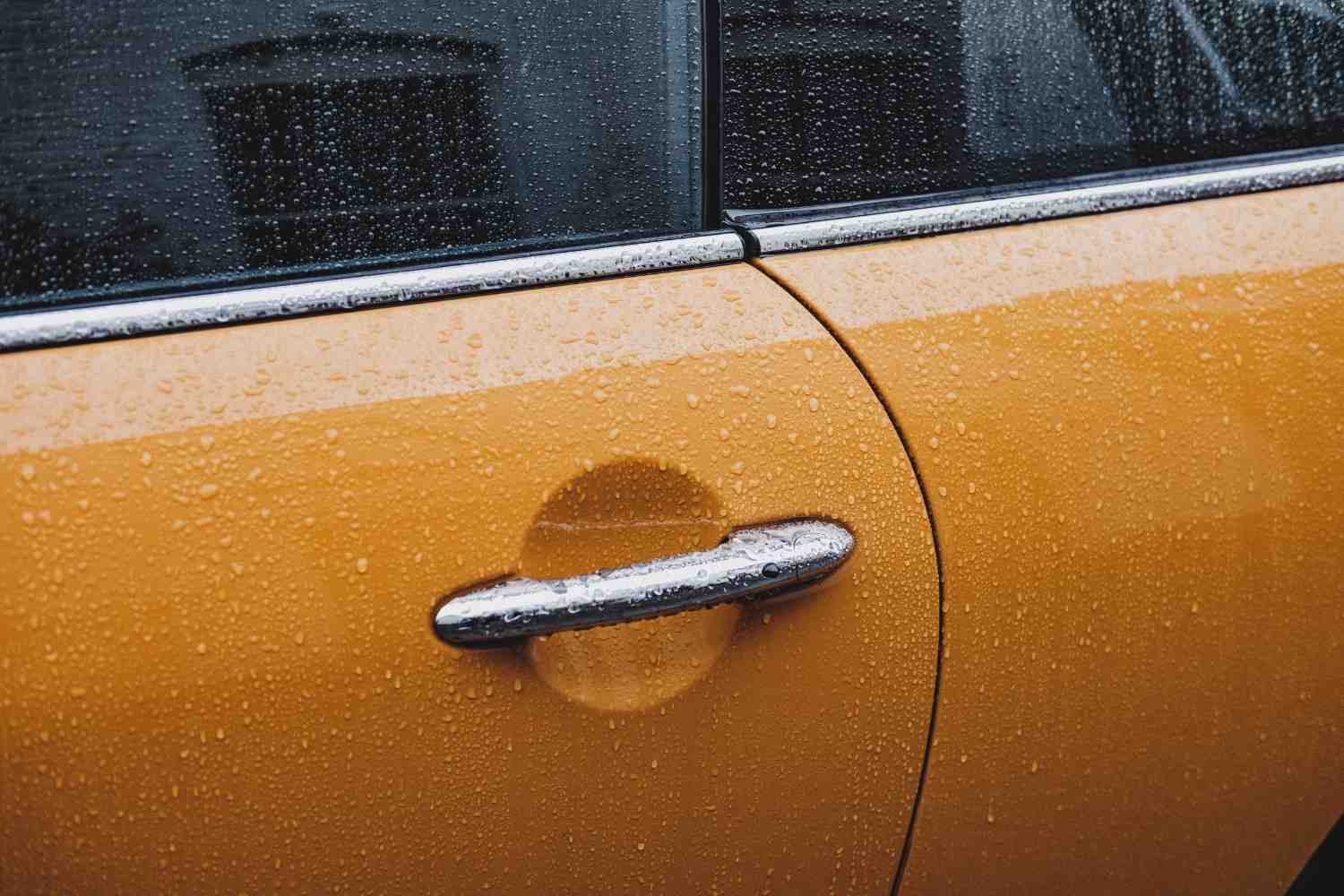 Water beading into tight droplets on a ceramic coated panel, the simplest way to check whether an Adelaide ceramic coating is still working